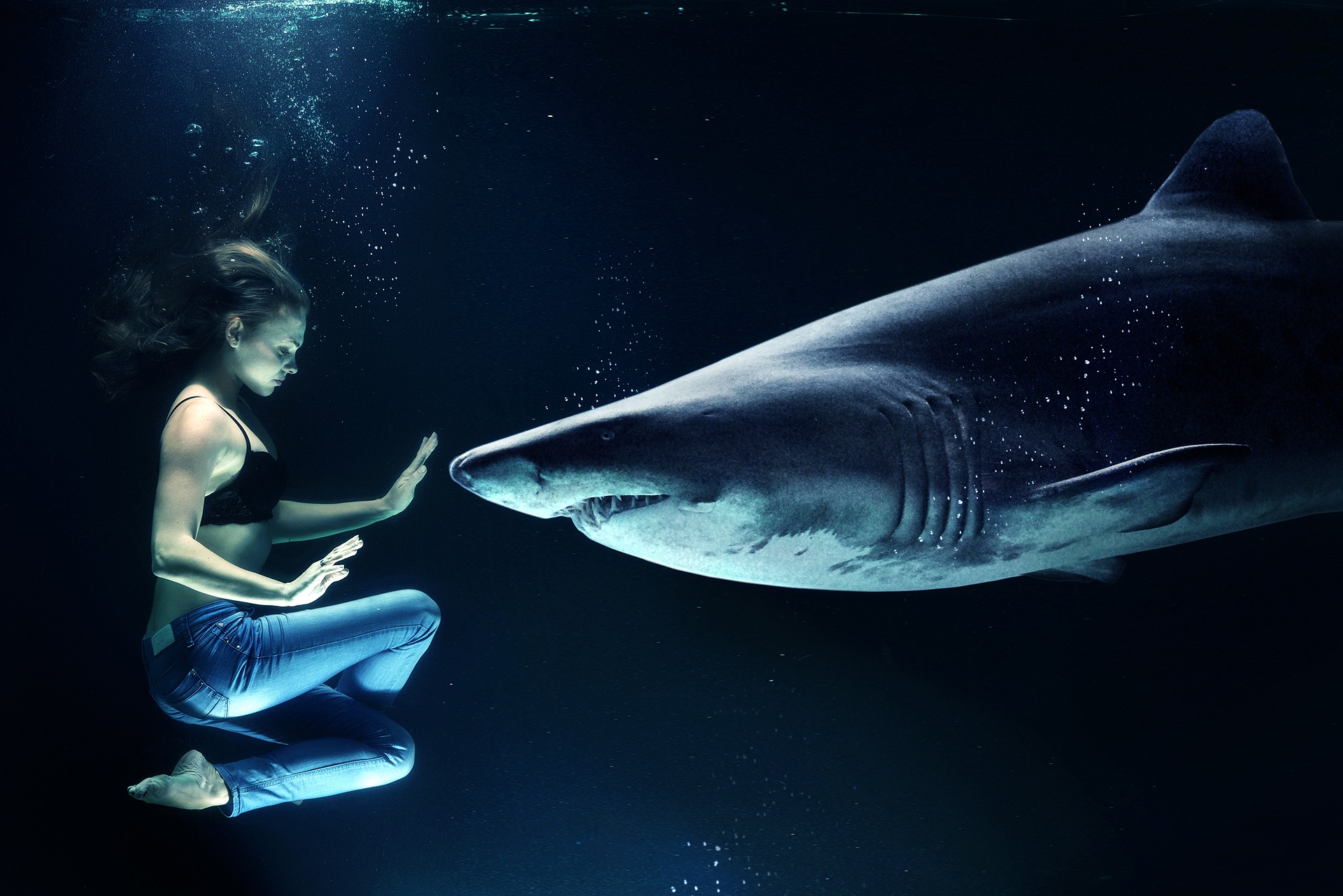 A woman underwater facing a great white shark.