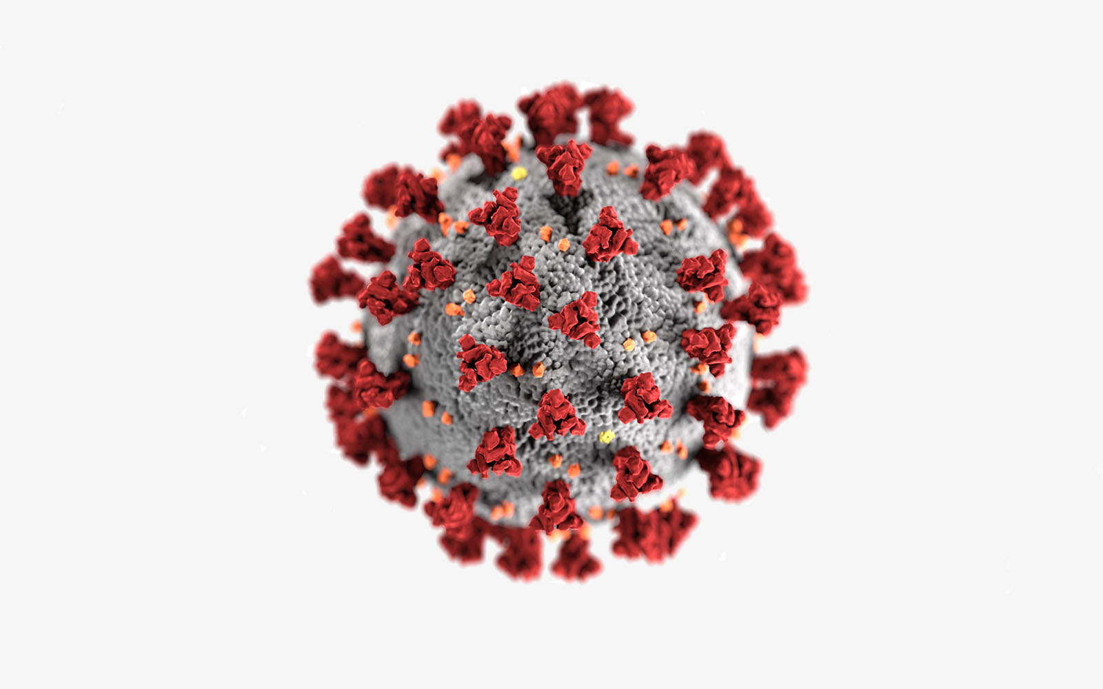 A detailed image of the Corona virus. Its a grey sphere with red triangular things coming out of it and yellow specks on it.