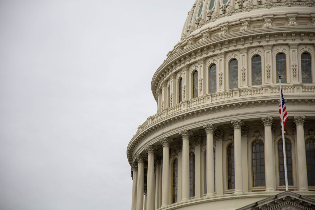 The United States Capitol building in Washington D.C.