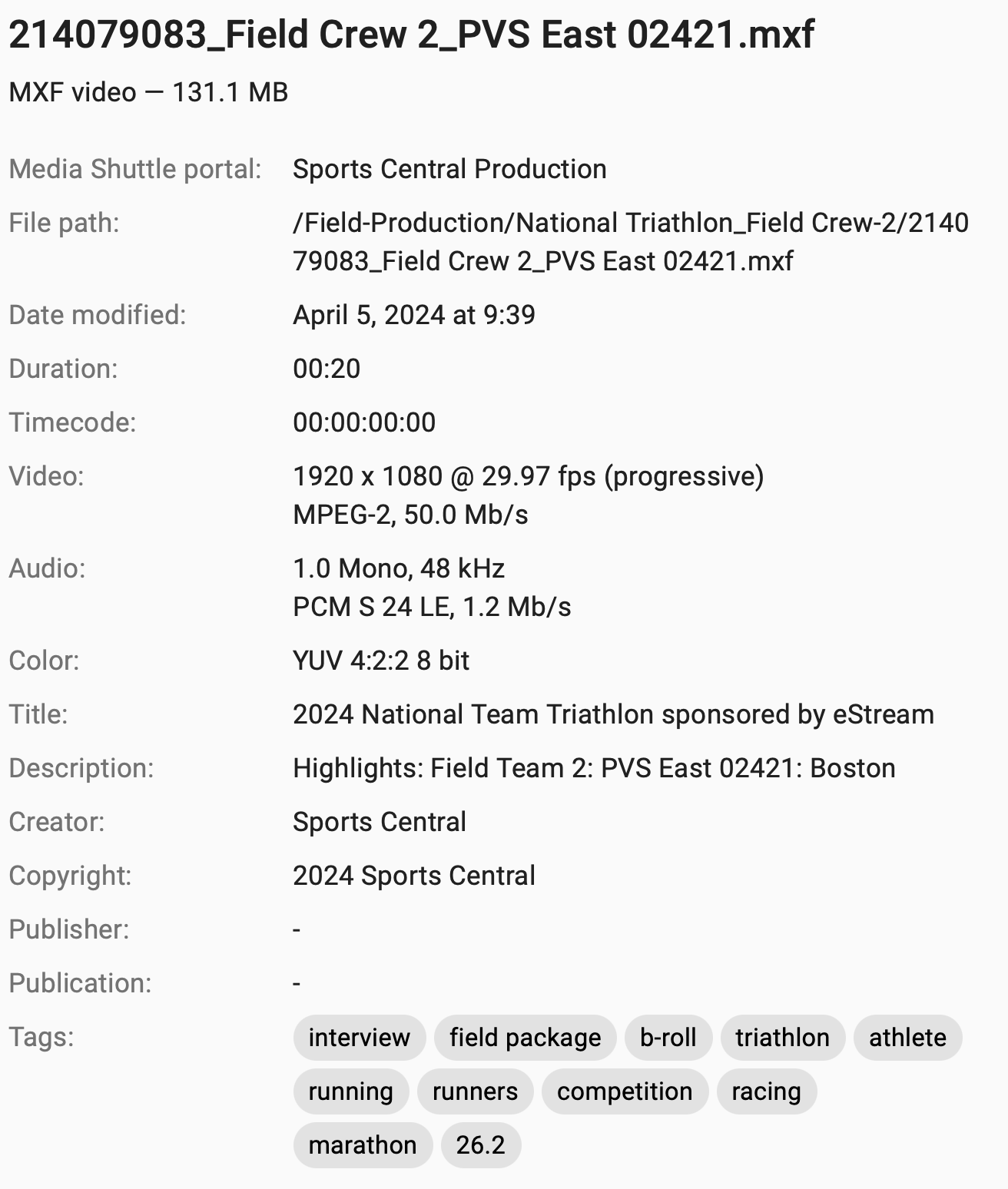 Image showing detailed metadata in Media Engine associated with video clips, including both technical and custom metadata.